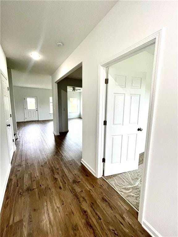 corridor featuring dark hardwood / wood-style flooring