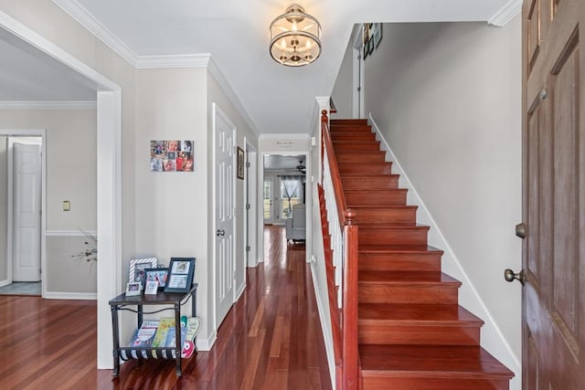 entryway with baseboards, dark wood-type flooring, stairs, crown molding, and a chandelier