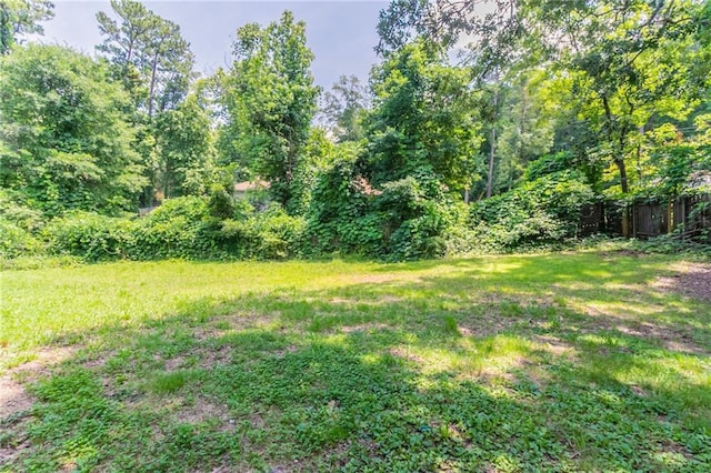10 Briarcliff Pl, Stockbridge, GA 30281 - view of yard