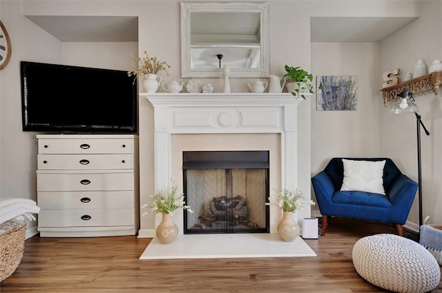 sitting room featuring light wood-type flooring