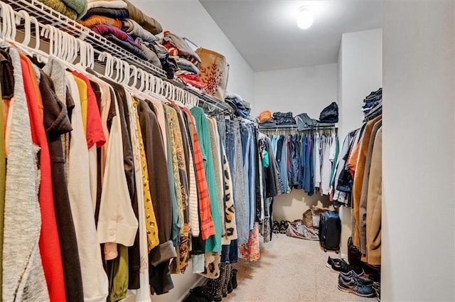 walk in closet with carpet floors