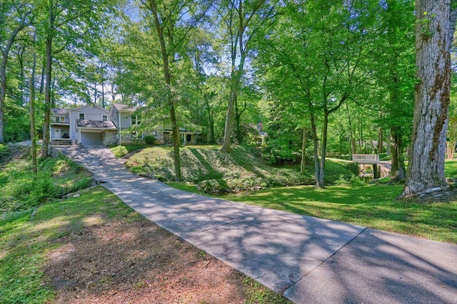 view of community featuring a yard