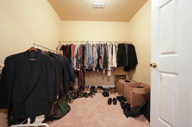 spacious closet featuring carpet floors