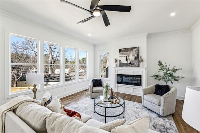 living area featuring ornamental molding, a glass covered fireplace, and wood finished floors