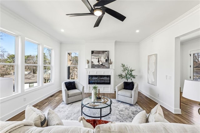 living area featuring baseboards, ornamental molding, wood finished floors, and a glass covered fireplace