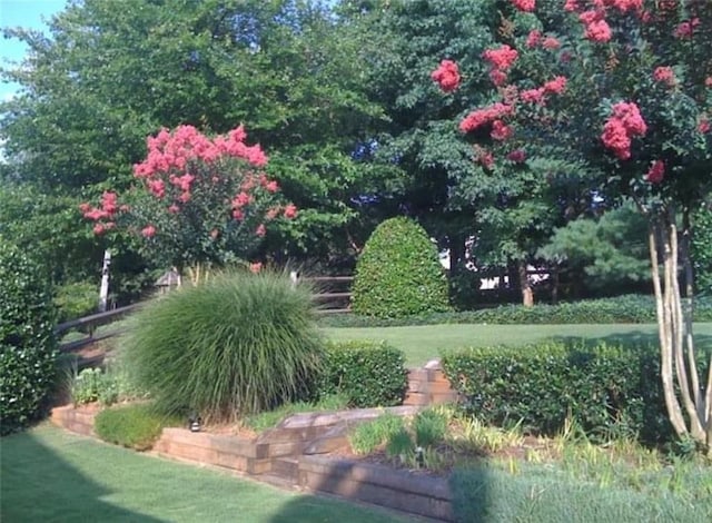 surrounding community featuring a lawn