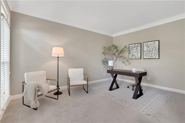 carpeted office featuring ornamental molding