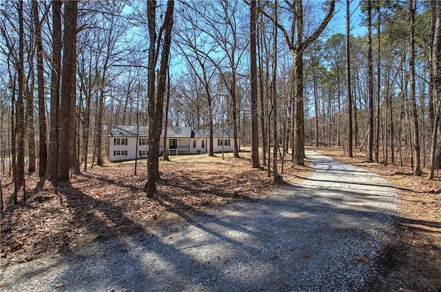 view of street with gravel driveway