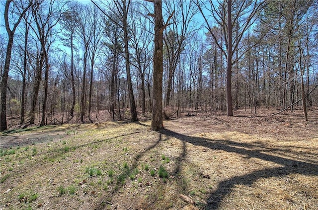 view of nature featuring a view of trees