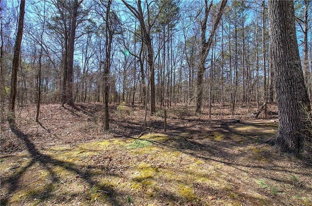 view of local wilderness