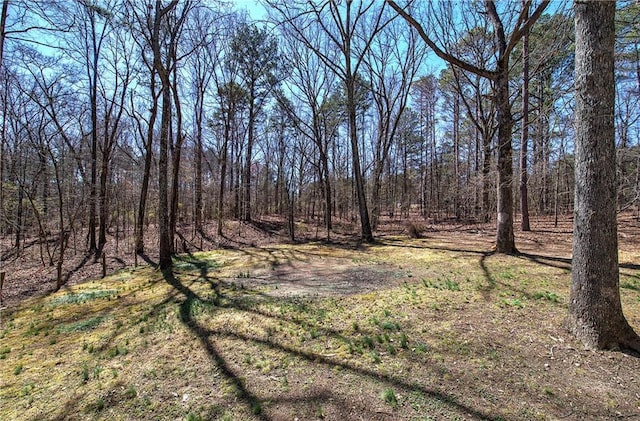 view of yard featuring a forest view