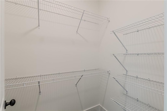 4075 O Henry Ct, Mcdonough, GA 30252 - view of spacious closet