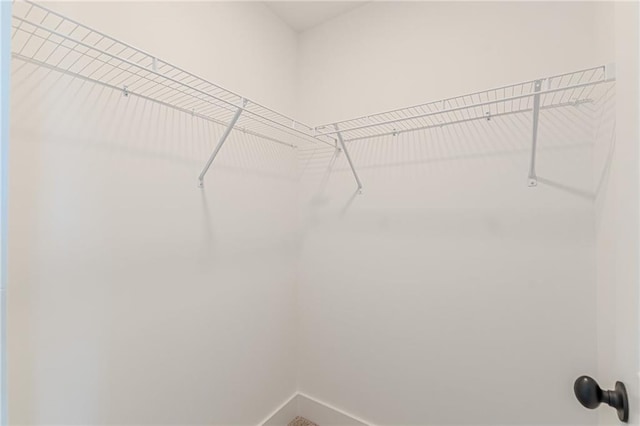 4075 O Henry Ct, Mcdonough, GA 30252 - view of walk in closet