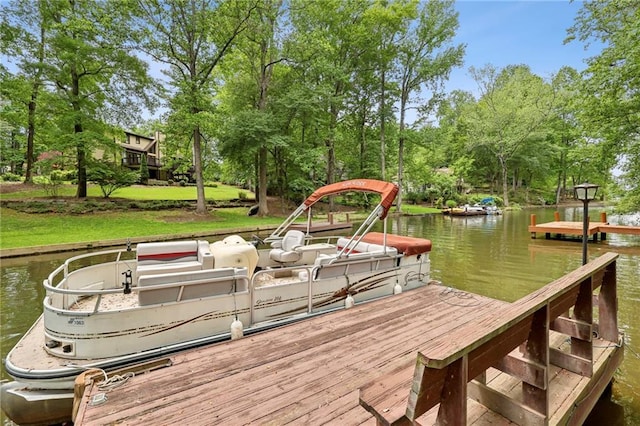 dock with a water view