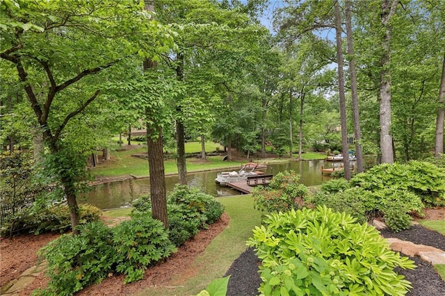 surrounding community with a dock