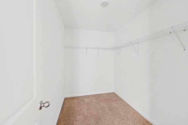 walk in closet featuring light carpet