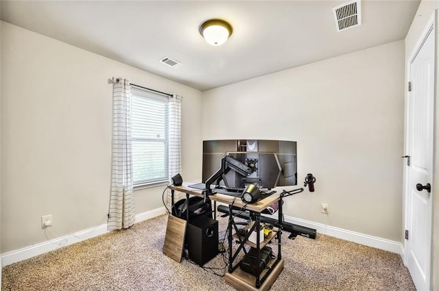 exercise area with carpet floors