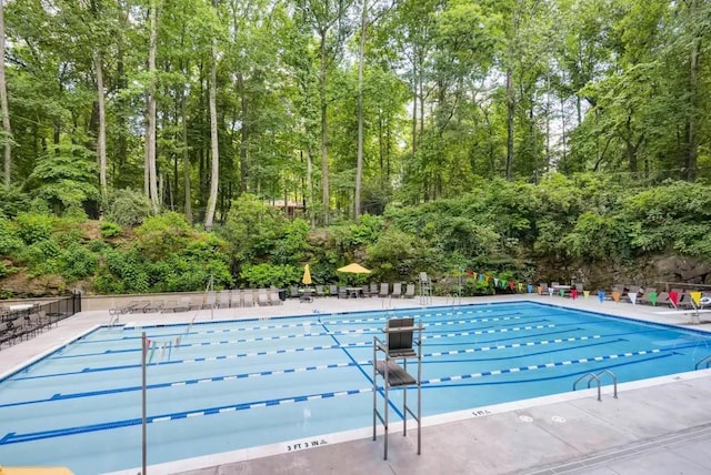 view of swimming pool