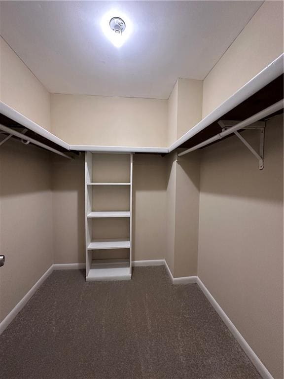 spacious closet with carpet floors