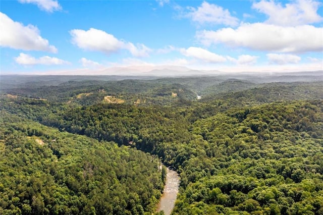 100 Julep Cir, Ellijay, GA 30540 - aerial view of a heavily wooded area and a mountainous background