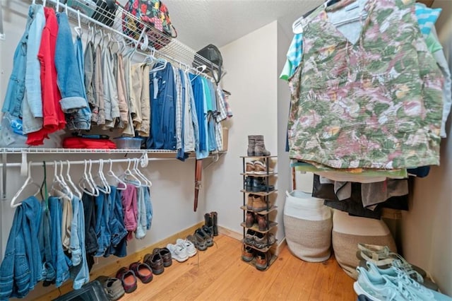 100 Julep Cir, Ellijay, GA 30540 - spacious closet with wood finished floors