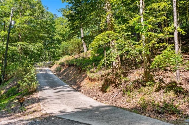 100 Julep Cir, Ellijay, GA 30540 - view of road with a view of trees