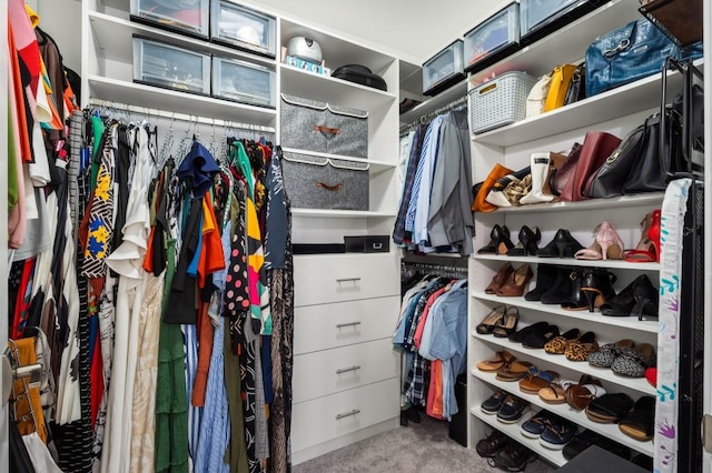 view of spacious closet