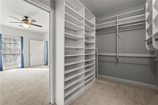 2865 Lenox Rd NE Unit 410, Atlanta, GA 30324 - walk in closet with carpet flooring and a ceiling fan