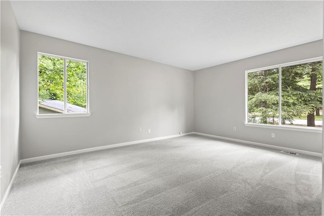 9438 Cedar Creek Pl, Douglasville, GA 30135 - spare room with baseboards, carpet flooring, and a healthy amount of sunlight