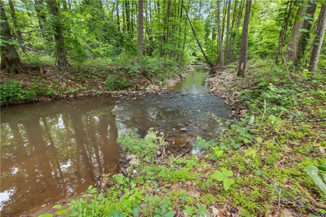 9438 Cedar Creek Pl, Douglasville, GA 30135 - view of water feature