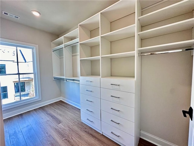 spacious closet with wood-type flooring