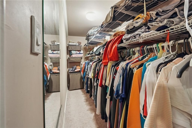 2030 Spring End Ct, Lawrenceville, GA 30044 - view of walk in closet