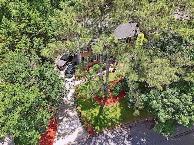 2030 Spring End Ct, Lawrenceville, GA 30044 - view from above of property