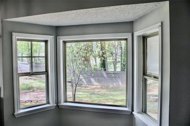 details with a textured ceiling