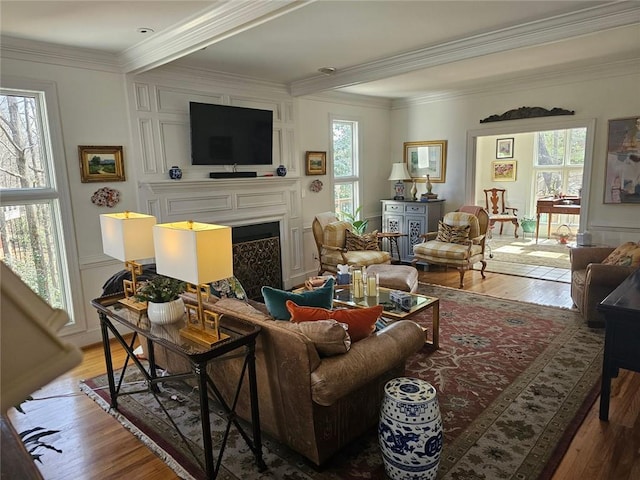 living area with a fireplace, wood finished floors, and crown molding