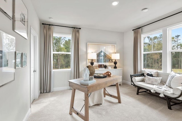 home office with light colored carpet and baseboards