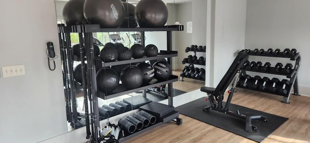 gym featuring wood-type flooring