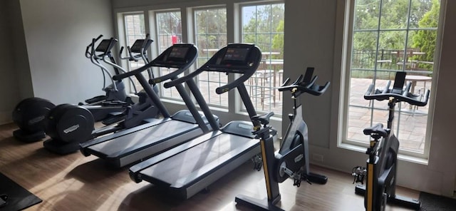 gym featuring hardwood / wood-style flooring