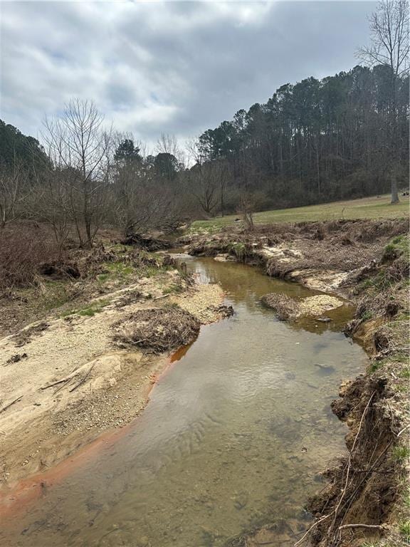 property view of water featuring a forest view