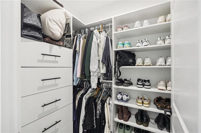 view of spacious closet