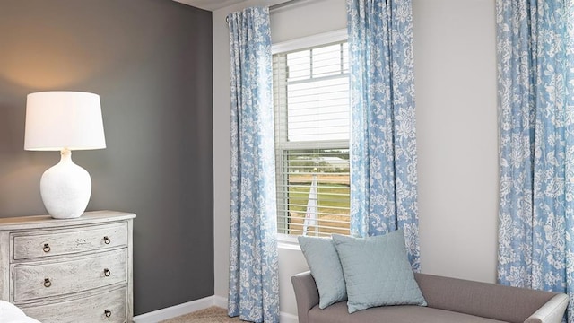 sitting room with carpet floors and baseboards