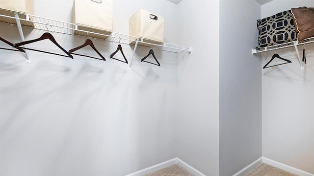 spacious closet featuring carpet floors