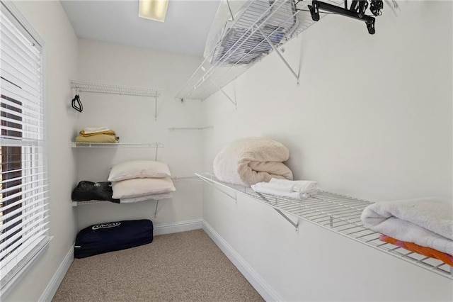 7105 Haw Crk, Gainesville, GA 30506 - walk in closet featuring carpet floors
