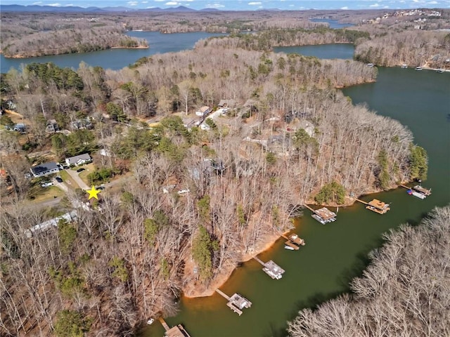 7105 Haw Crk, Gainesville, GA 30506 - aerial view with a wooded view and a water view