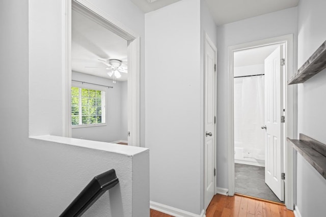 corridor featuring hardwood / wood-style flooring