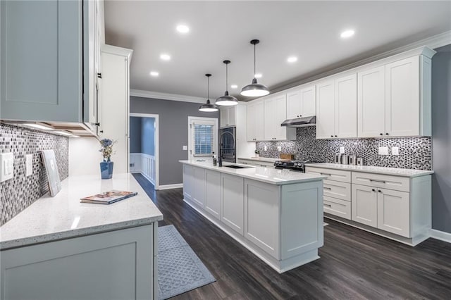 3845 Glen Ian Dr, Loganville, GA 30052 - kitchen with under cabinet range hood, tasteful backsplash, an island with sink, crown molding, and a sink