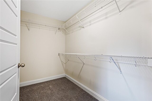 212 Starr Cir, Stockbridge, GA 30281 - spacious closet with dark carpet