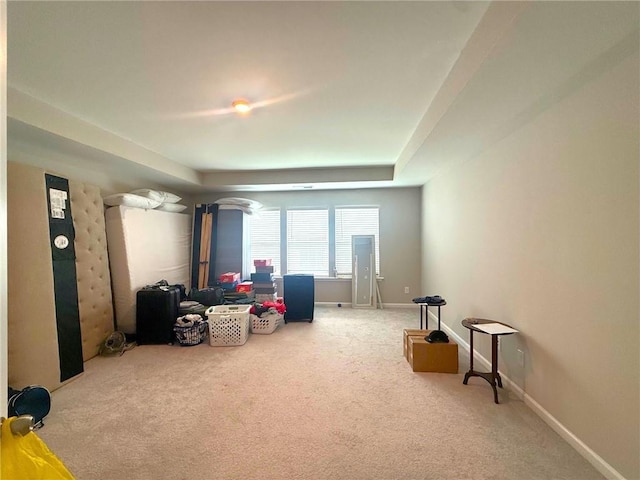 2059 Lanier Harbor Pt, Buford, GA 30518 - sitting room with carpet floors and a tray ceiling