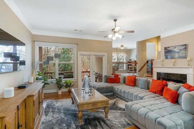 living room with dark wood-type flooring, ornamental molding, and a premium fireplace