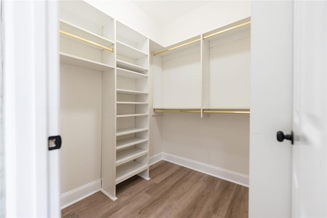 spacious closet featuring wood-type flooring